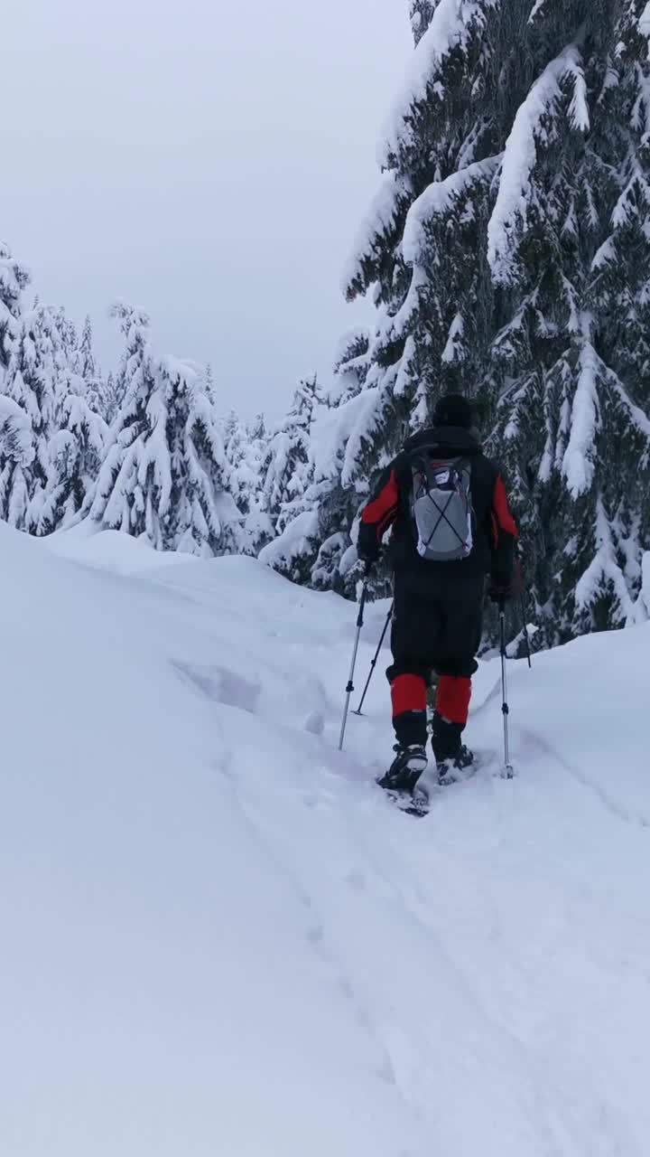 背包和雪鞋的徒步旅行者在冬季徒步旅行中行走。视频素材