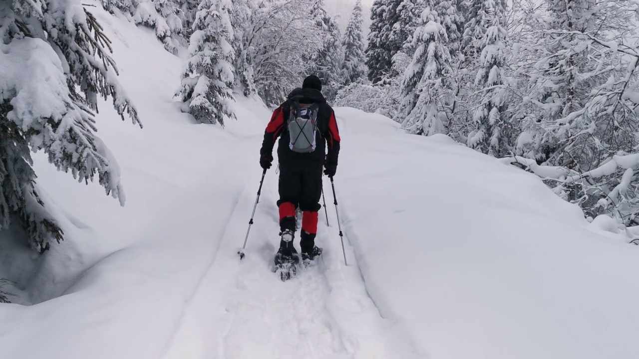 背包和雪鞋的徒步旅行者在冬季徒步旅行中行走。视频素材