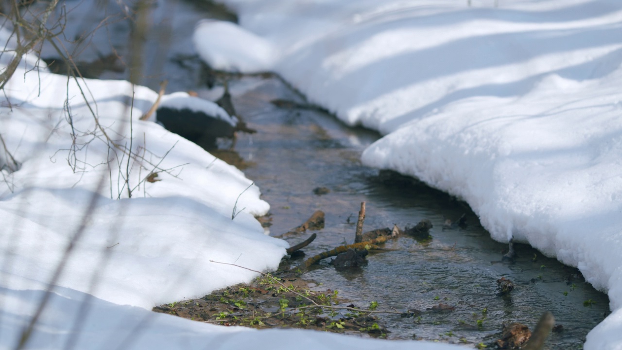 解冻。泉水流的水。河岸上的雪。视频素材