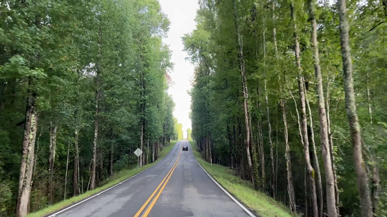 在阿拉巴马州斯特雷特外，沿着茂密的25号公路行驶的汽车视角镜头视频素材