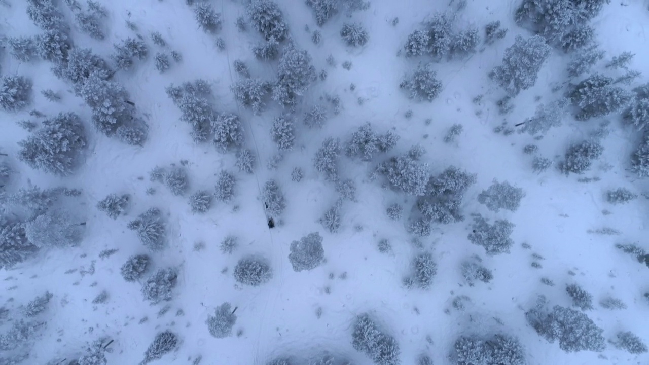 芬兰，驯鹿拉的雪橇在空中盘旋视频素材