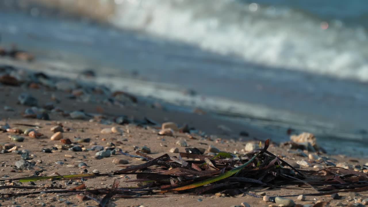 近距离聚焦与海藻卵石海滩。背景不明的海浪爱奥尼亚海，莫拉蒂卡，科孚岛，希腊。高质量4k镜头视频素材