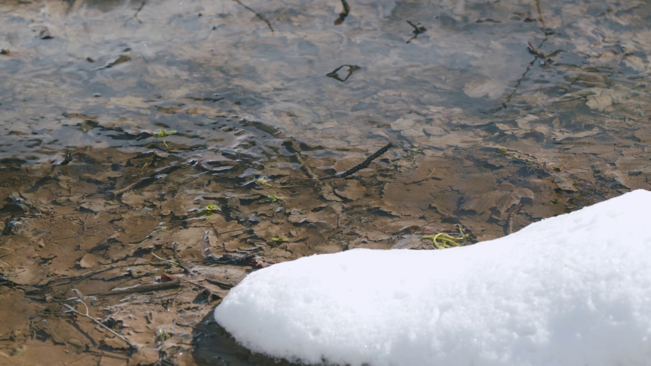 溪流中清澈的水纹理。河岸上有些雪。视频素材