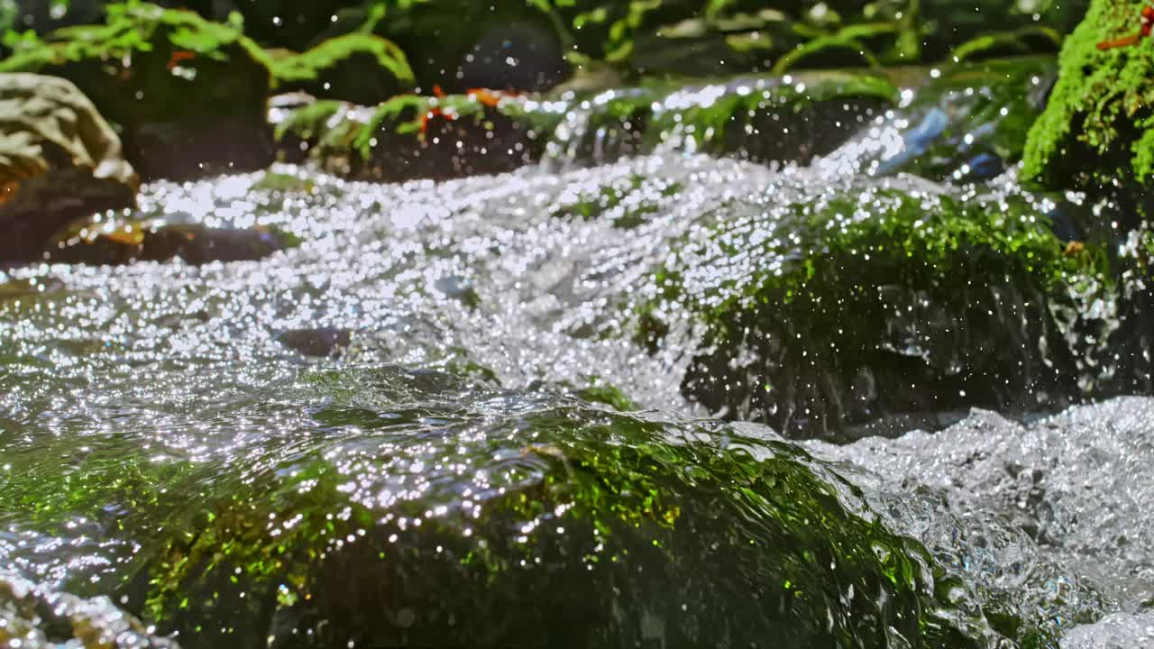 水流从湍急的小溪中流过长满青苔的岩石视频素材