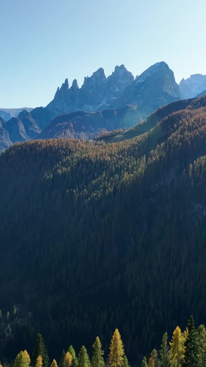 巨大的森林面积，在大山脉的中心。视频素材