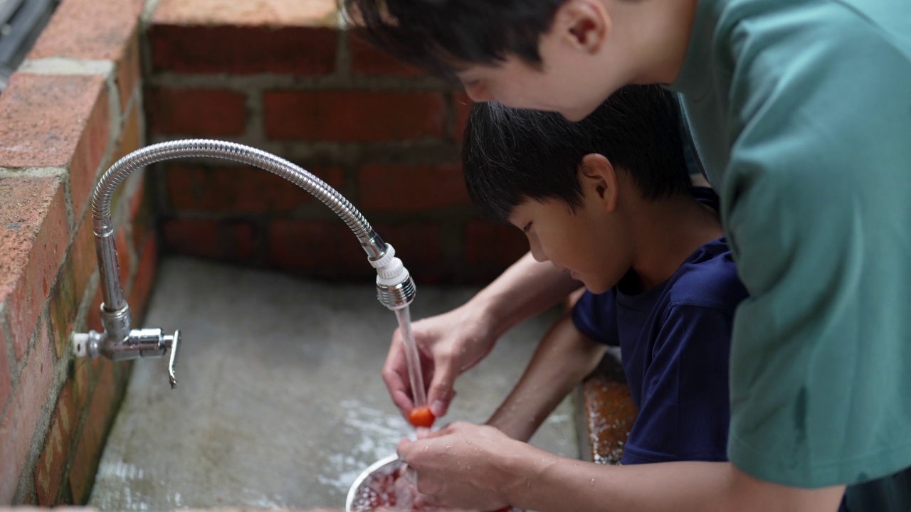 父子俩正在清洗新鲜的圣女果视频素材