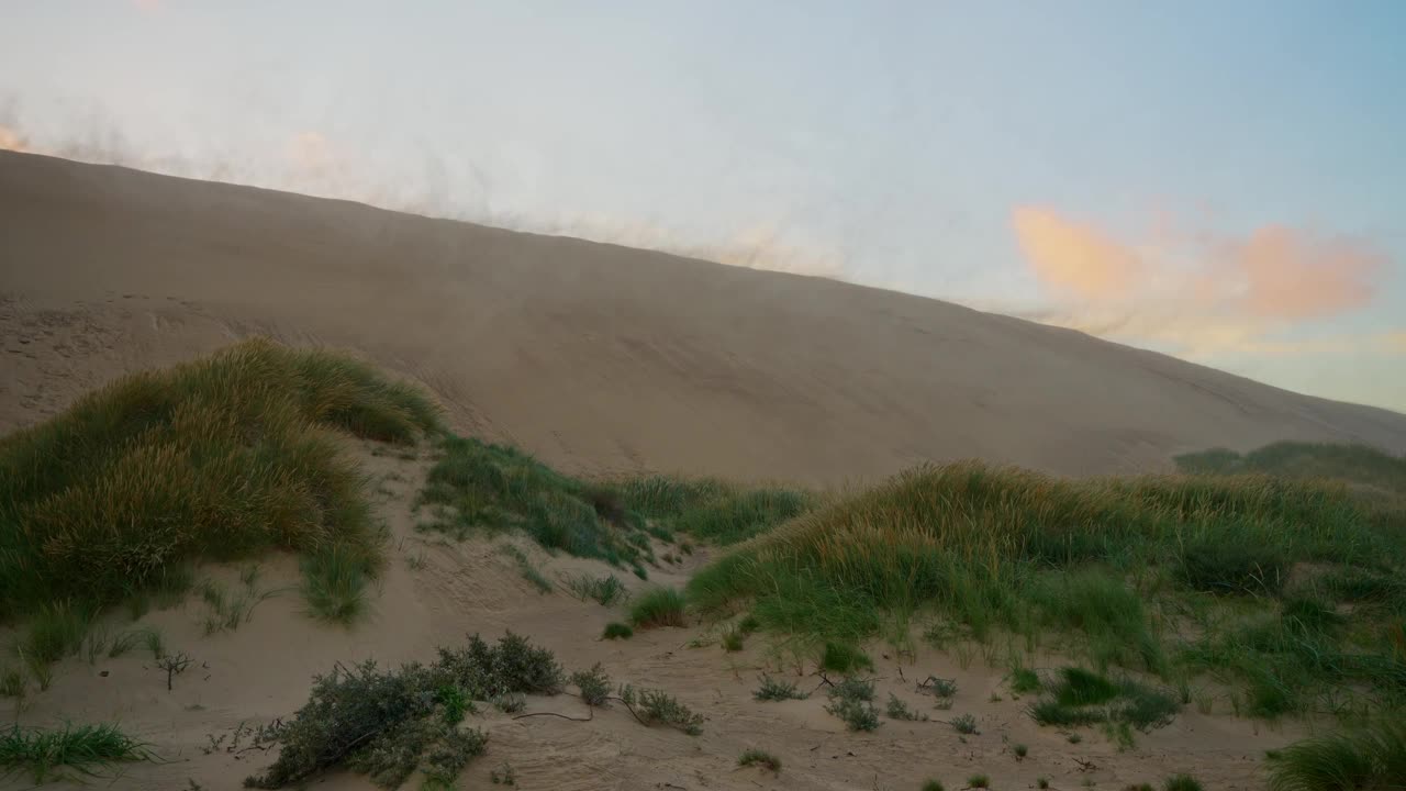 Scenic view of sandstorm on Råbjerg Mile dunes视频素材