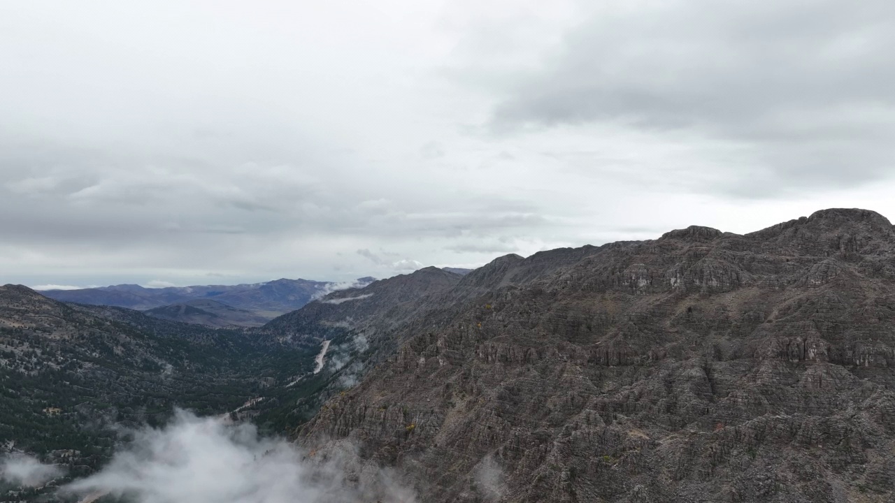 森林和雾山视频素材