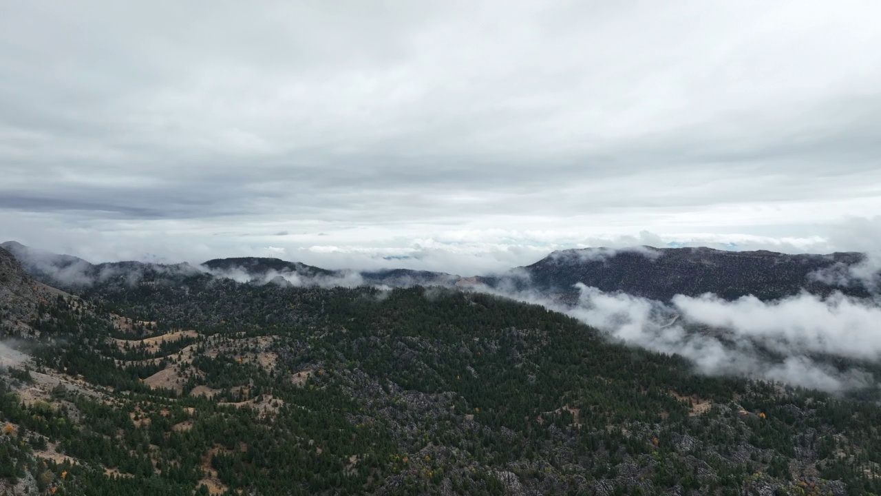 森林和雾山视频素材