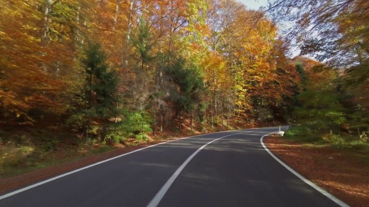 蜿蜒的道路穿过秋天的森林视频素材