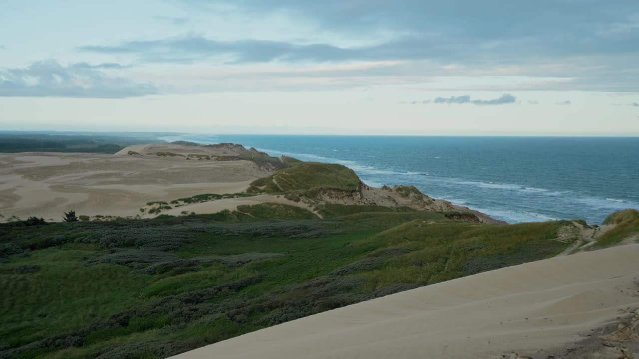 Scenic view of sandstorm on Råbjerg Mile dunes视频素材