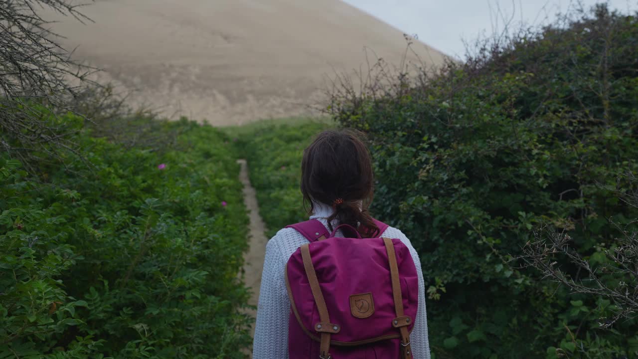 一名女子在丹麦的大沙丘附近徒步旅行视频素材