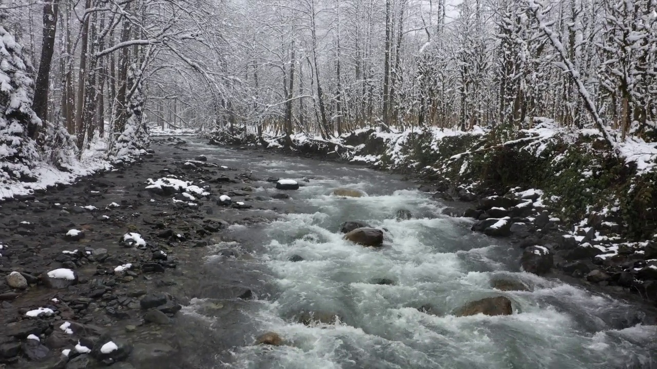 冬天的时候，积雪下的森林。无人机景观视频素材