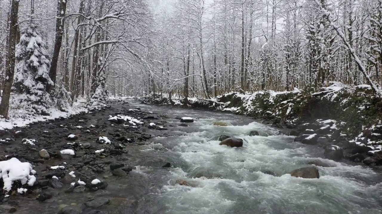 雪林和小溪-无人机向后移动视频素材