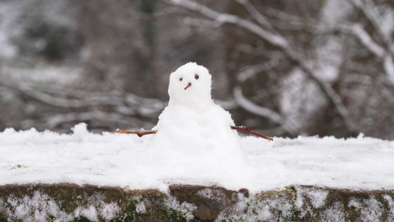 在一个下雪天，城市公园的墙上堆了雪人和树枝视频素材