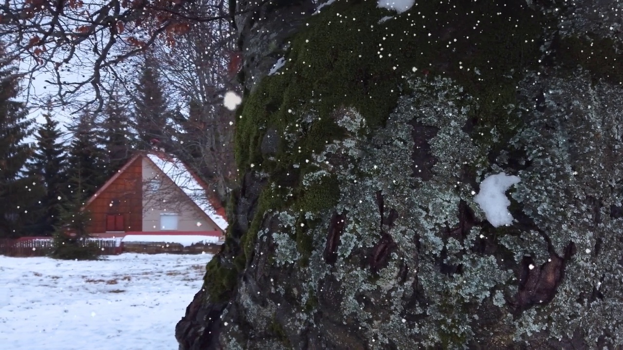 雪山里好看的小木屋视频素材