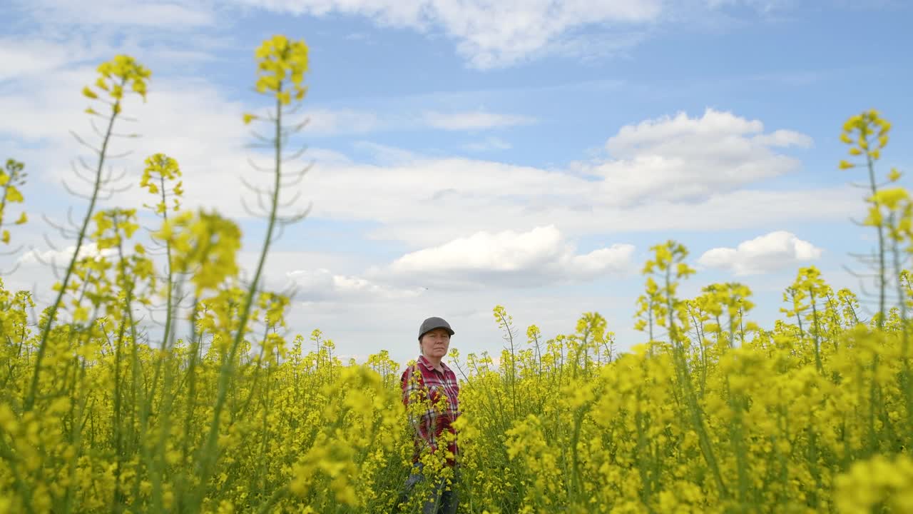 身穿红色格纹衬衫、头戴卡车司机帽的农妇站在盛开的油菜田里，望着庄稼视频素材