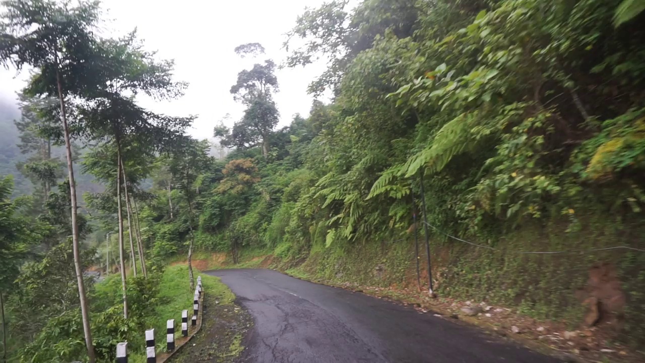 旅途中有自然风光的山峦和高大的绿树，白天的天气多云雾蒙蒙的雨后视频素材