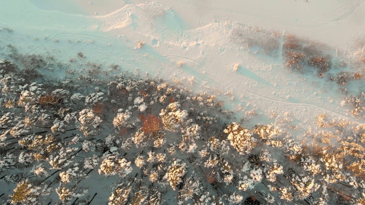 美丽的空中旋转，俯瞰盖拉湖周围白雪覆盖的森林视频素材