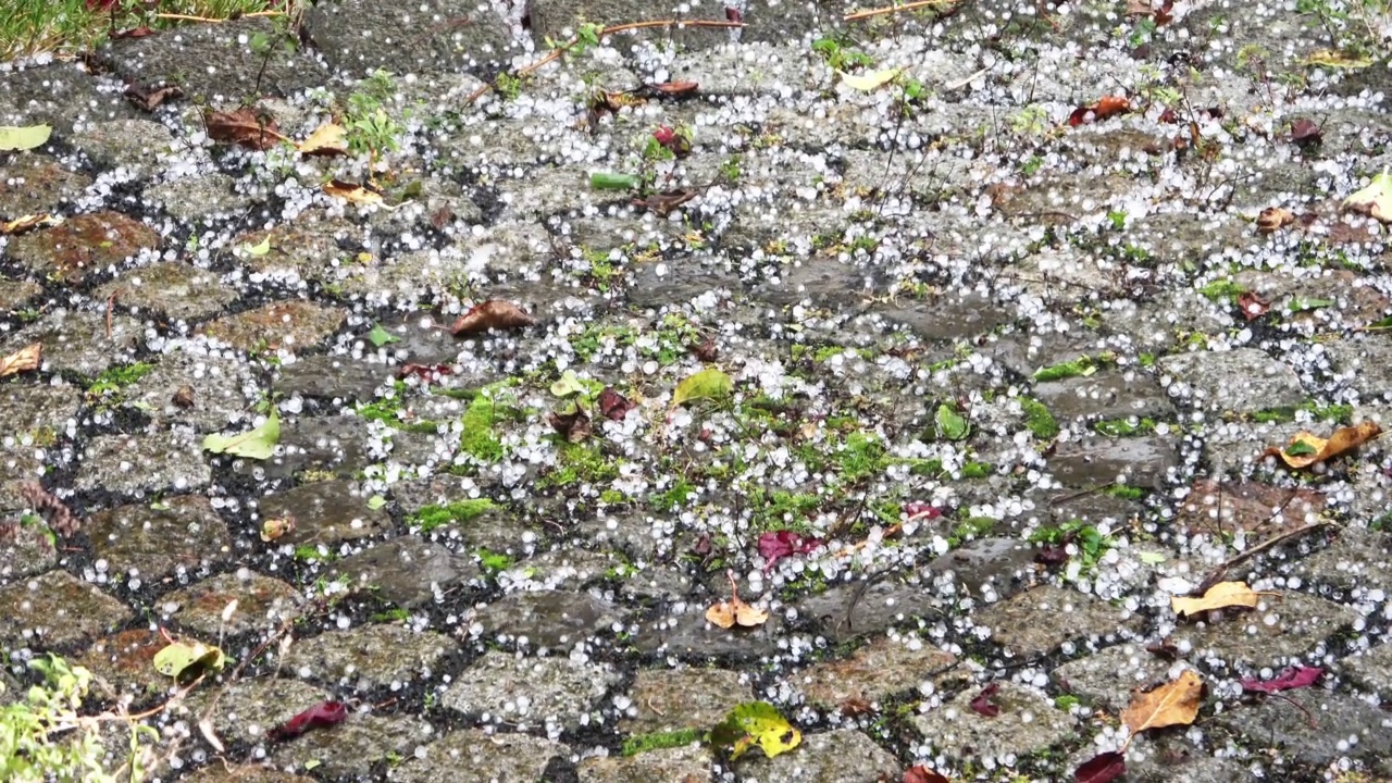 路面上的冰雹-冰雹从地上跳起来。视频素材