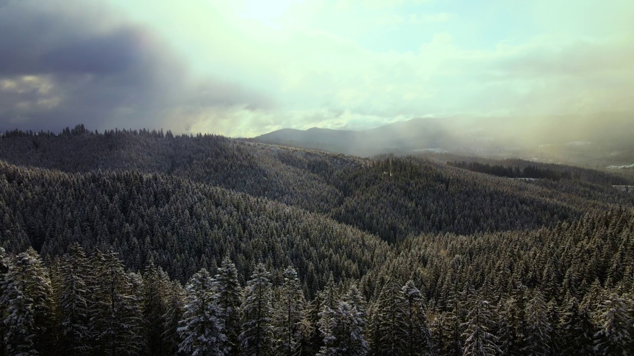 空中冬季景观与云杉树积雪覆盖的森林在寒冷的山区视频素材