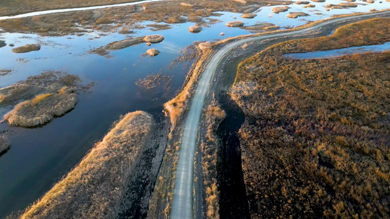 从上方穿过北加州野生动物保护区湿地的道路视频素材