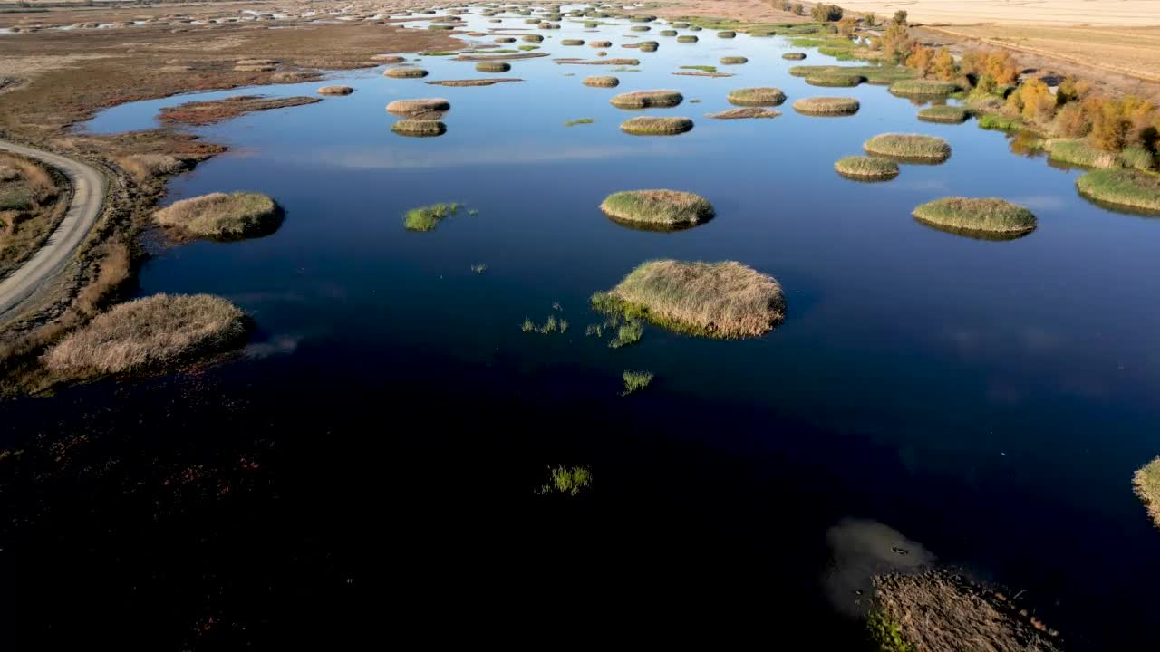 北加州野生动物保护区的湿地视频素材