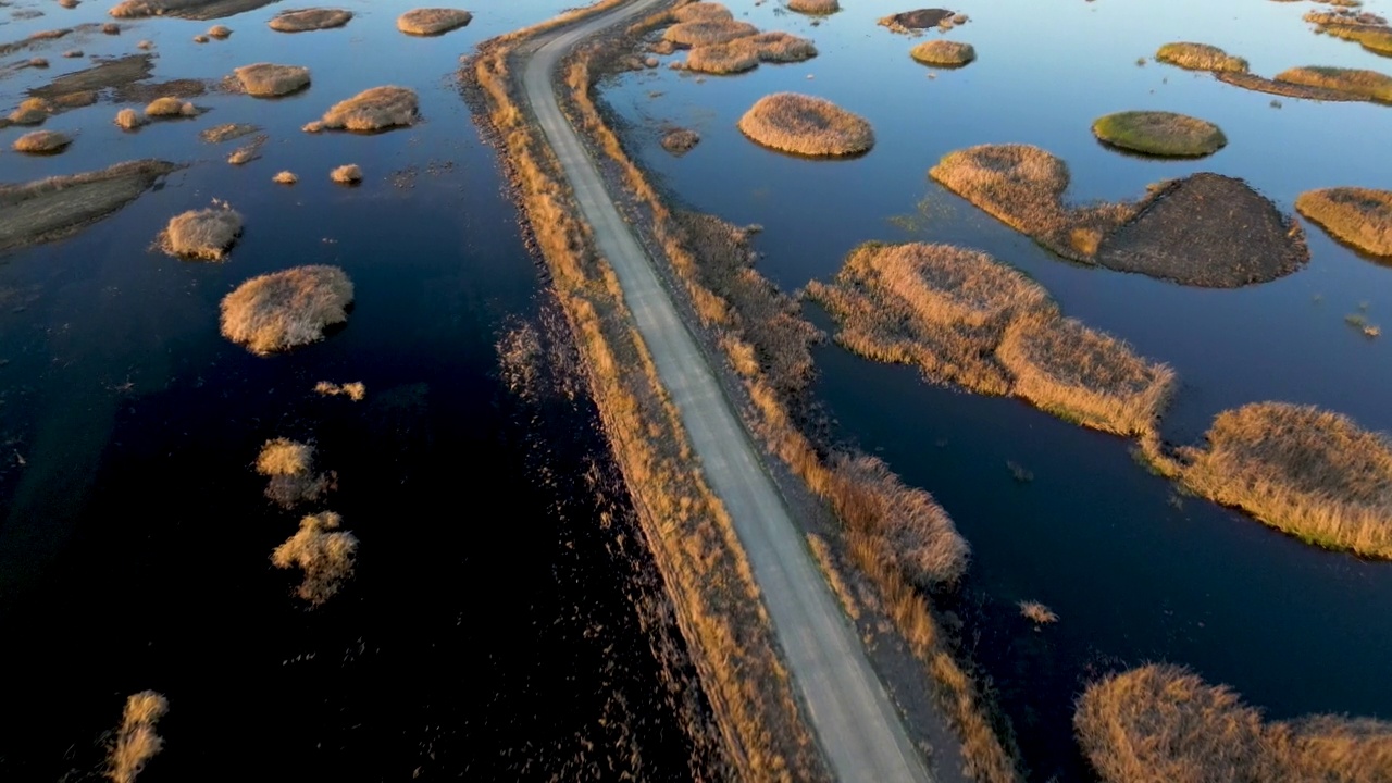 从上方穿过北加州野生动物保护区湿地的道路视频素材