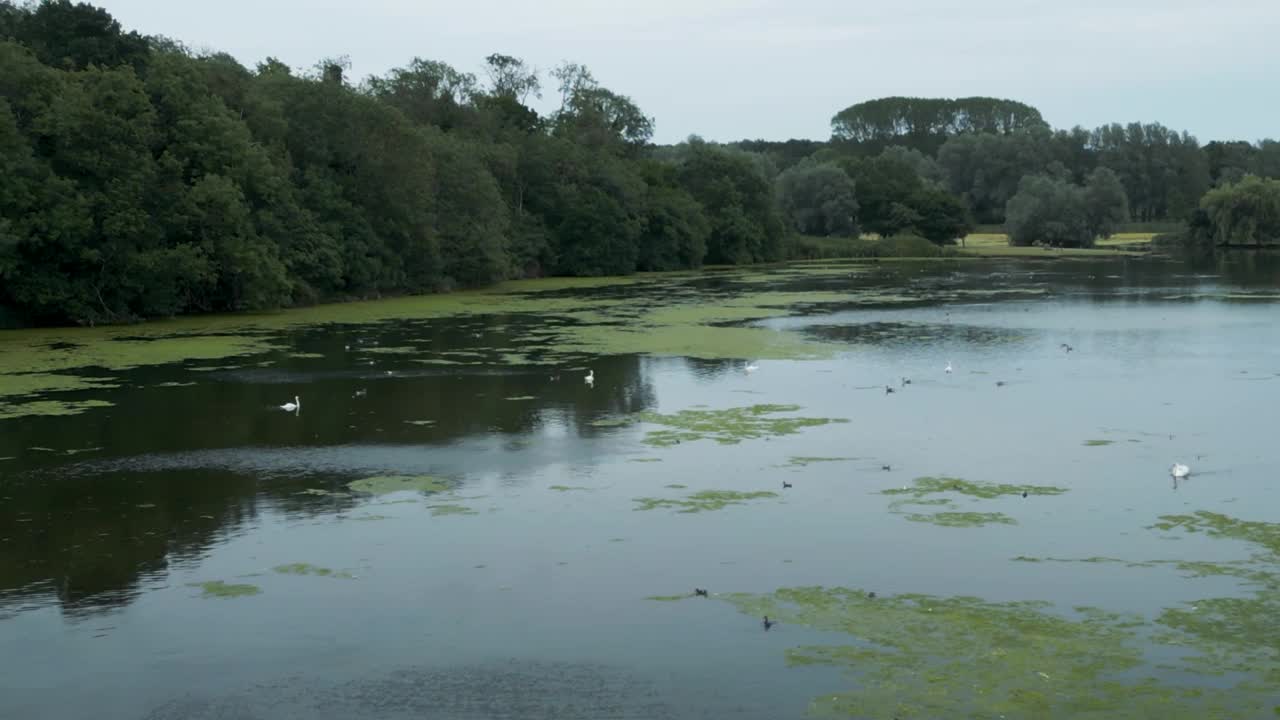 英格兰萨福克郡费利克斯托的帽贝湖视频素材