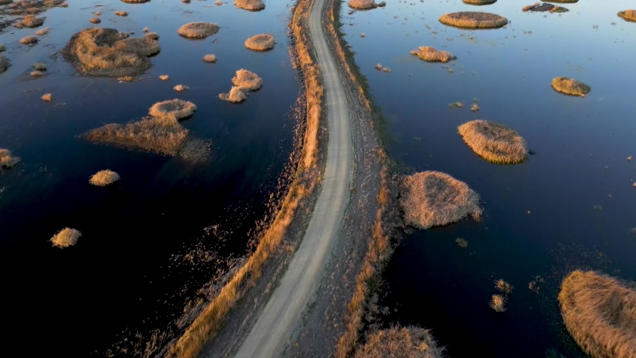 从上方穿过北加州野生动物保护区湿地的道路视频素材