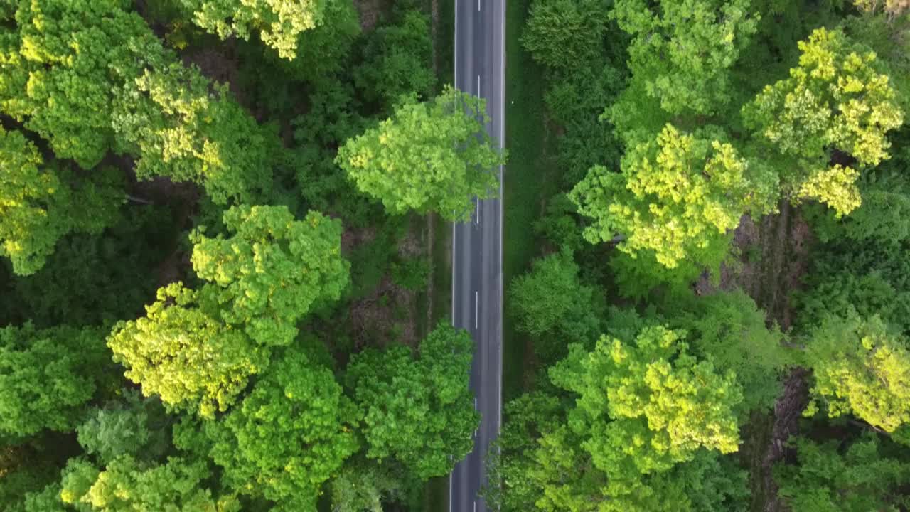 在阳光明媚的日子，从空中俯瞰一条穿过绿色落叶林的平坦公路视频素材