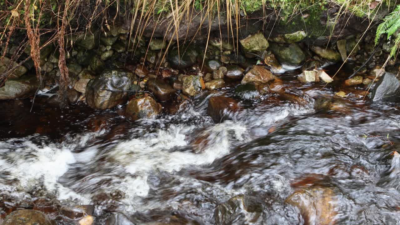 秋天，苏格兰林地里流过岩石的小溪视频素材