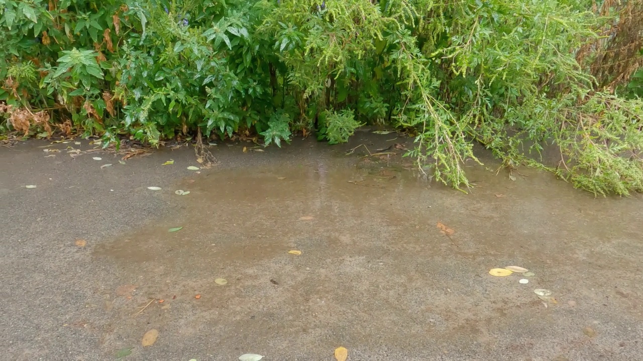 下雨时沥青路面上的雨水坑视频素材