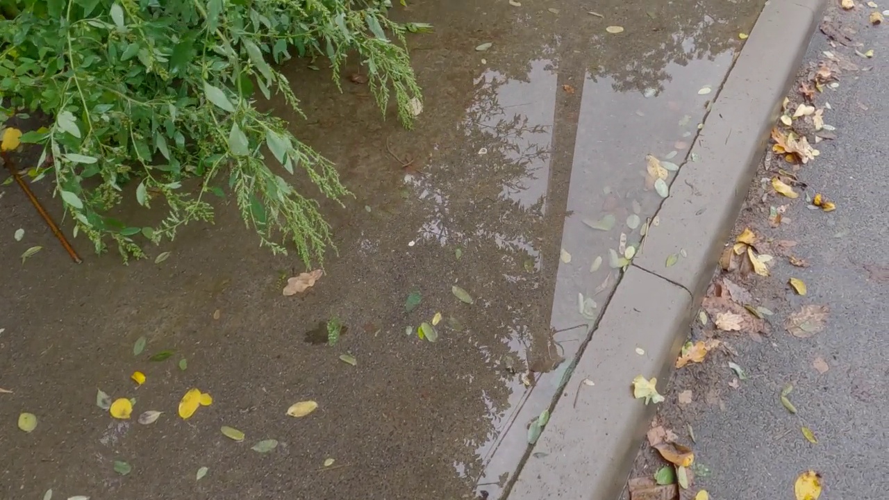 沥青人行道上积满了雨水的水坑，旁边是高高的草地视频素材