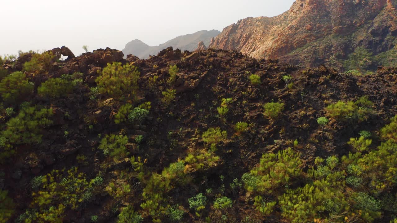 自然景观。徒步去峡谷。Risco Blanco的空中山峰。西班牙特内里费加那利群岛。Trevelers梦想。徒步旅行。去哪儿都可以。在新冠肺炎疫情期间旅行。视频素材