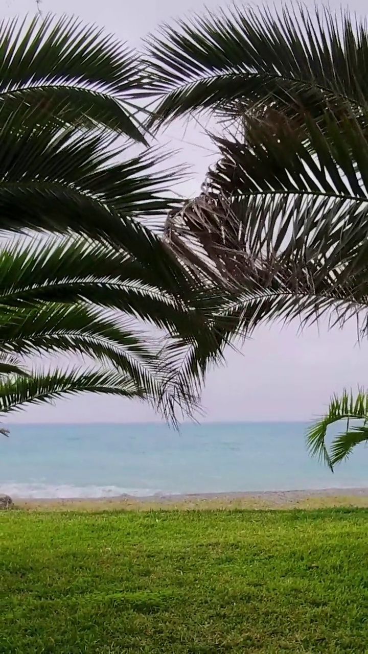 天堂海滩，热带海洋中有棕榈树。一个田园般的热带海滩的全景，棕榈树，白沙和蓝绿色的水视频素材