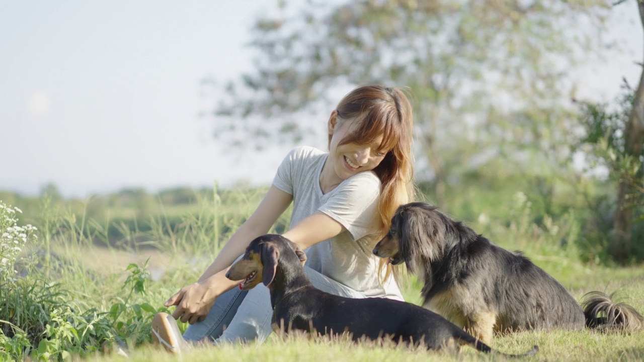 一位亚洲妇女和她的两只腊肠犬坐在草地上。视频素材