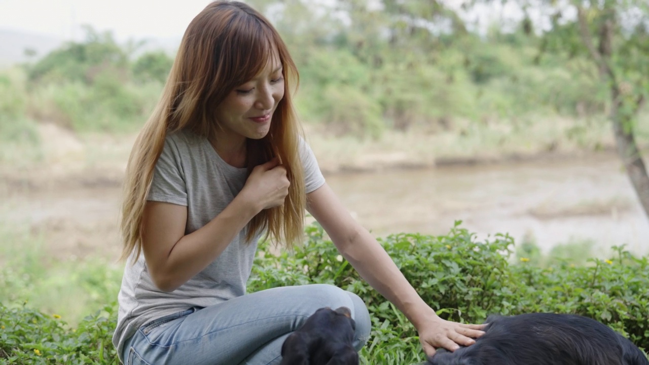 一个亚洲女人蹲在草地上和四只腊肠狗玩耍视频素材