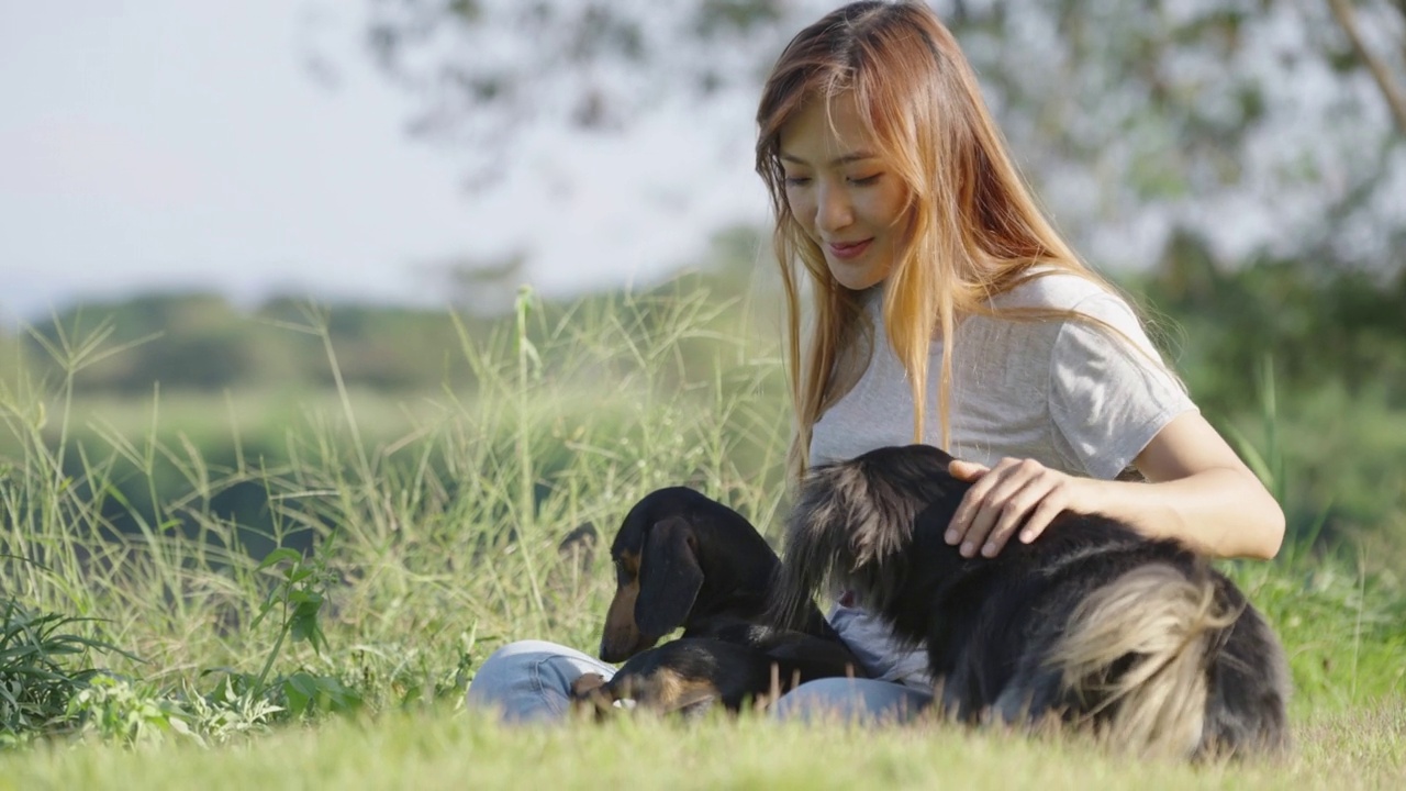 一名亚洲妇女在田野里玩她的两只黑色腊肠犬。视频素材