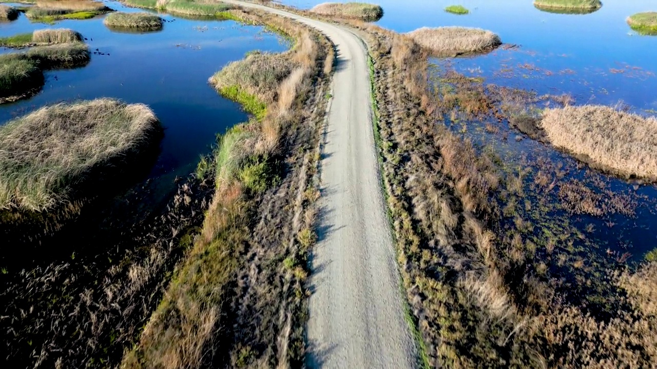 从上方穿过北加州野生动物保护区湿地的道路视频素材