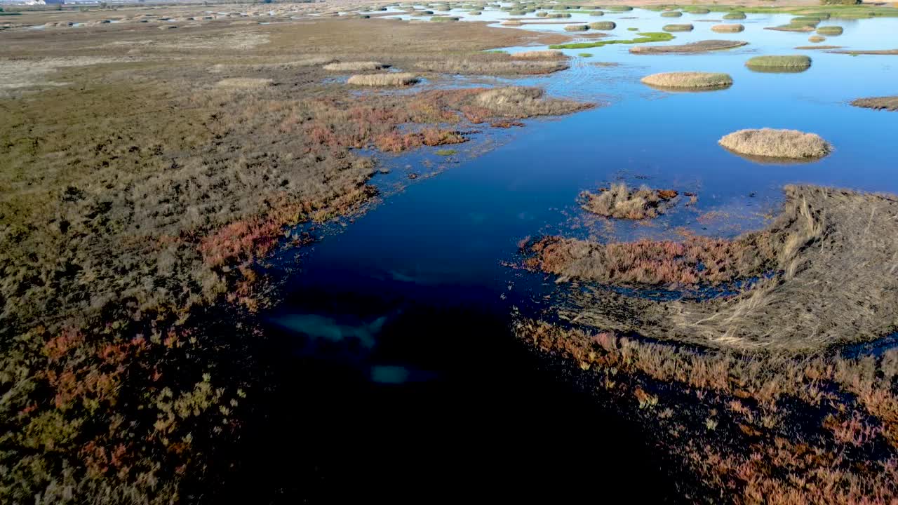 北加州野生动物保护区的湿地视频素材