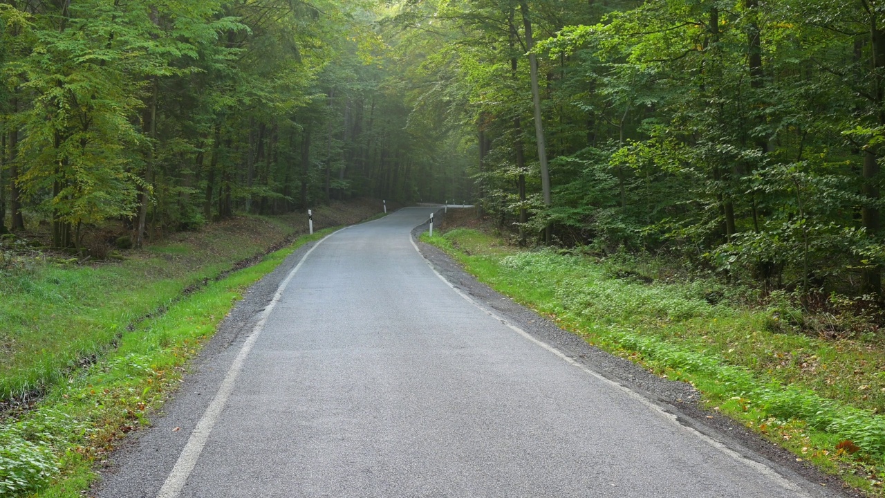 Forest road, Buchen, Odenwald, Baden-Württemberg, Germany视频素材