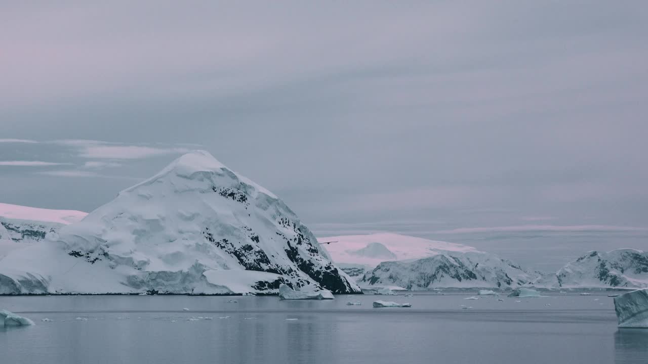 从游轮上看南极洲，冰山。令人惊叹的美丽的自然景色和南极的雪、冰和白色的景观。南极海中移动的浮冰和冰盖。视频素材