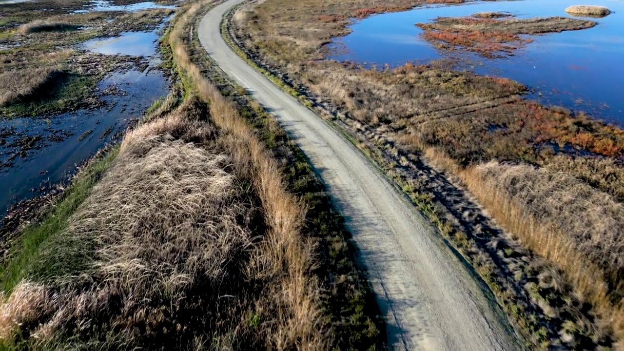 从上方穿过北加州野生动物保护区湿地的道路视频素材