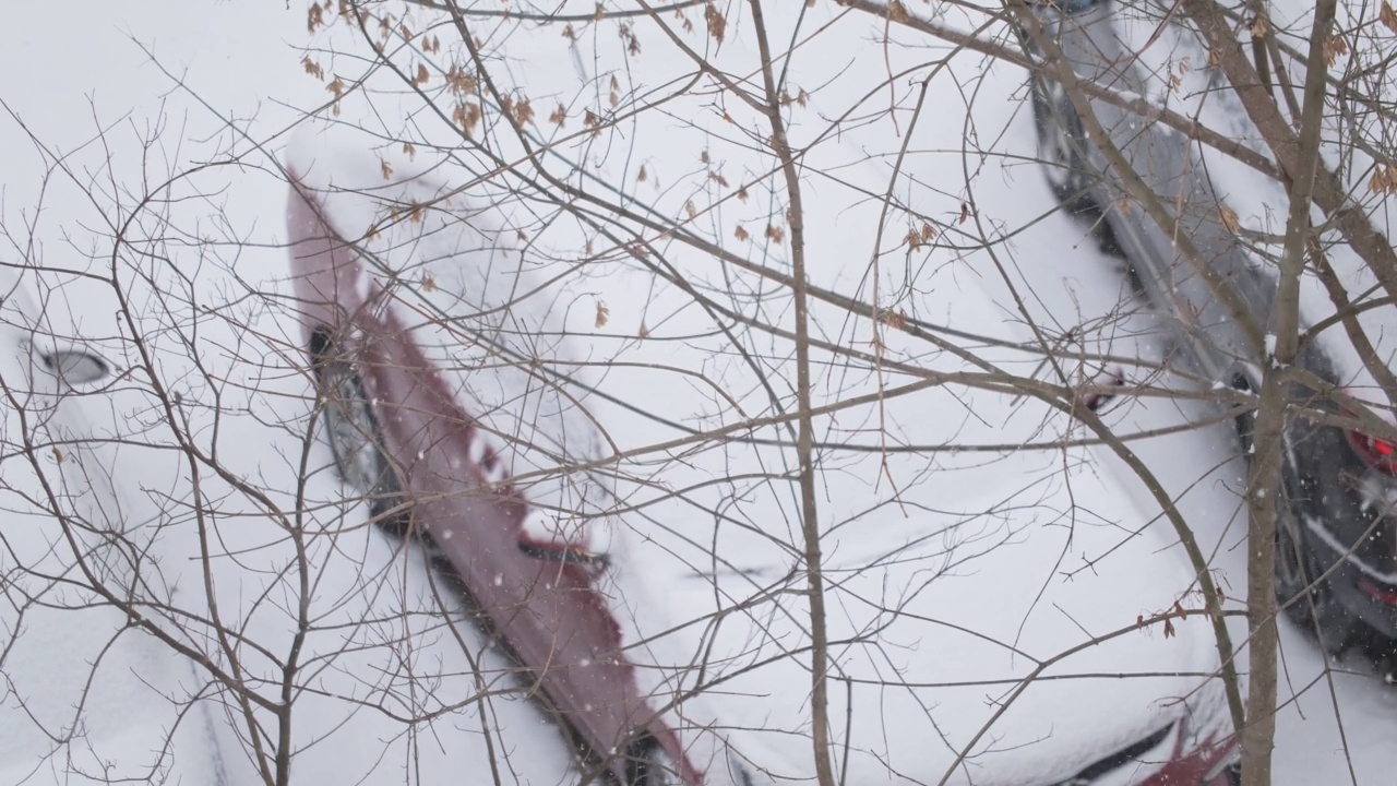 停着的汽车背景上飘落的雪花视频素材