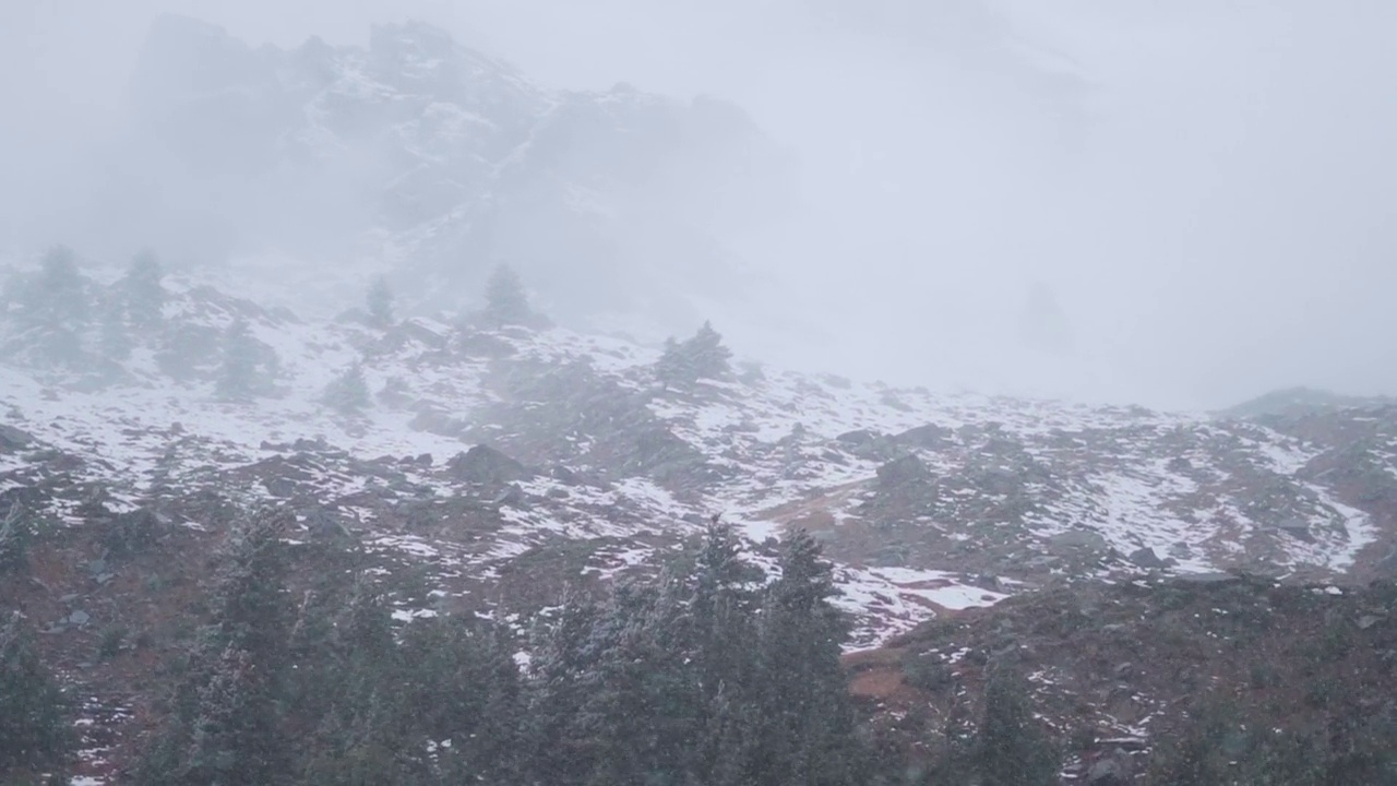 冬季，印度喜马偕尔邦马纳里山顶上的降雪慢镜头。马纳利冬季的降雪。自然降雪背景。视频素材