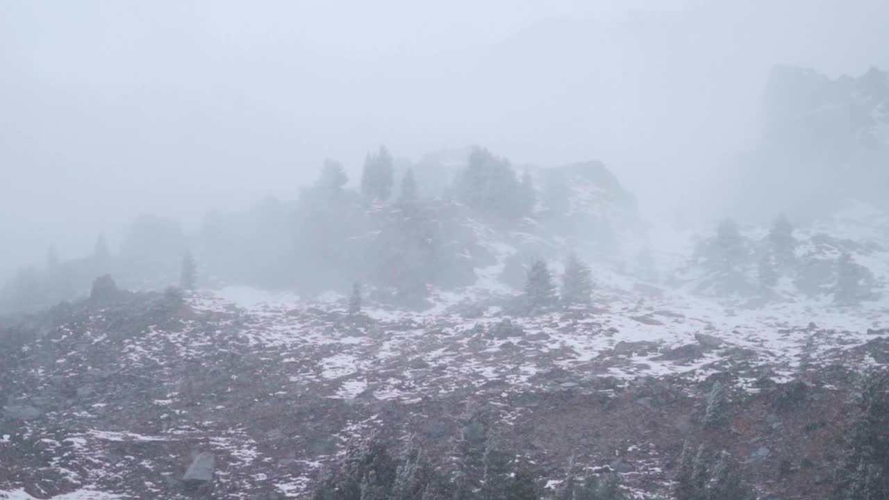 冬季，印度喜马偕尔邦的马纳里山顶上降雪的慢动作镜头。马纳利的冬季降雪。自然降雪背景。视频素材