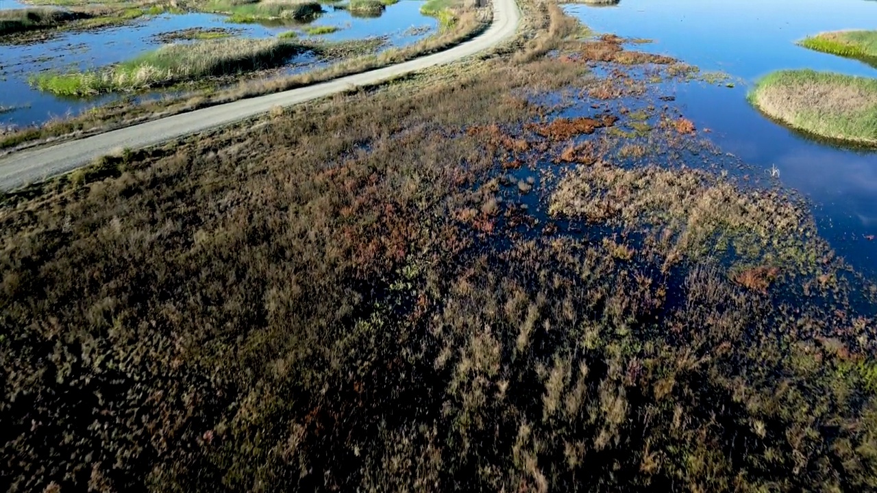 从上方穿过北加州野生动物保护区湿地的道路视频素材