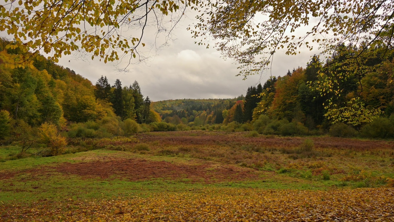 秋天的森林山谷，Rothenbuch, Hafenlohrtal, Spessart，巴伐利亚，德国视频素材