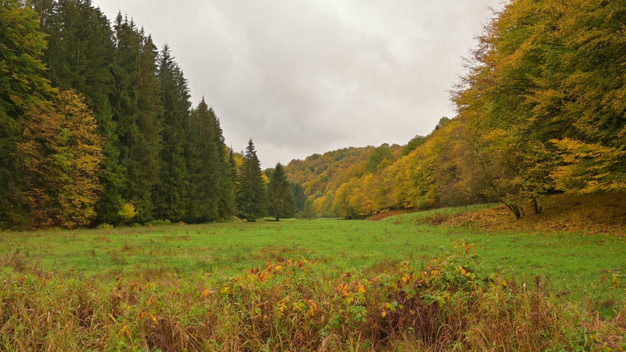 秋天的森林山谷，Rothenbuch, Hafenlohrtal, Spessart，巴伐利亚，德国视频素材